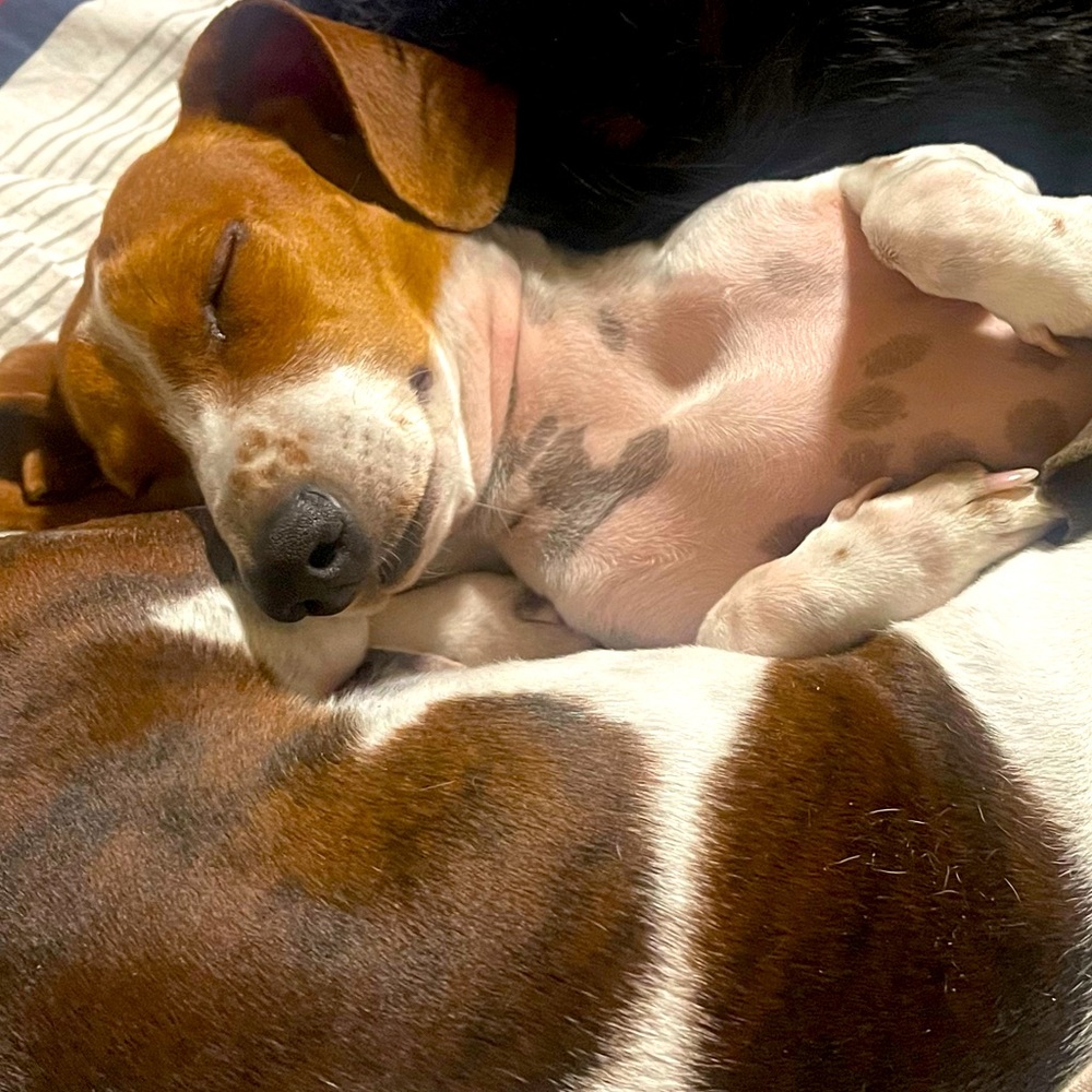 Meet your Posher, Minerva